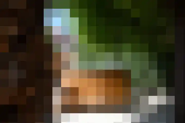 Koningin Wilhelminastraat 24 Nootdorp thumbnail 72