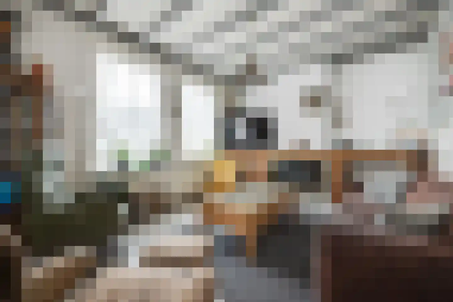 Koningin Wilhelminastraat 25 Hedel thumbnail 11