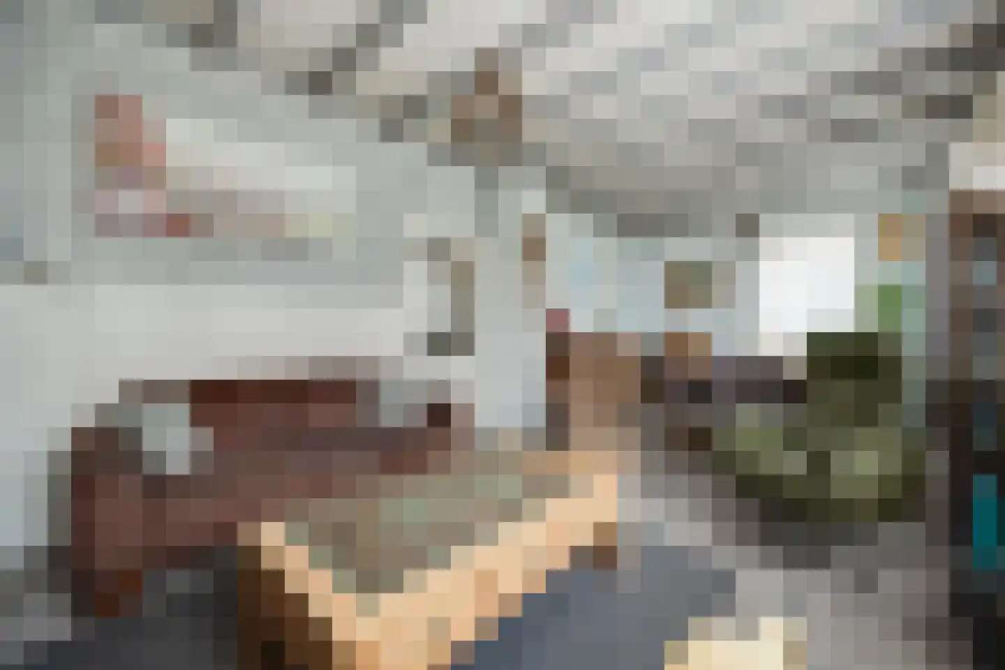 Koningin Wilhelminastraat 25 Hedel thumbnail 13