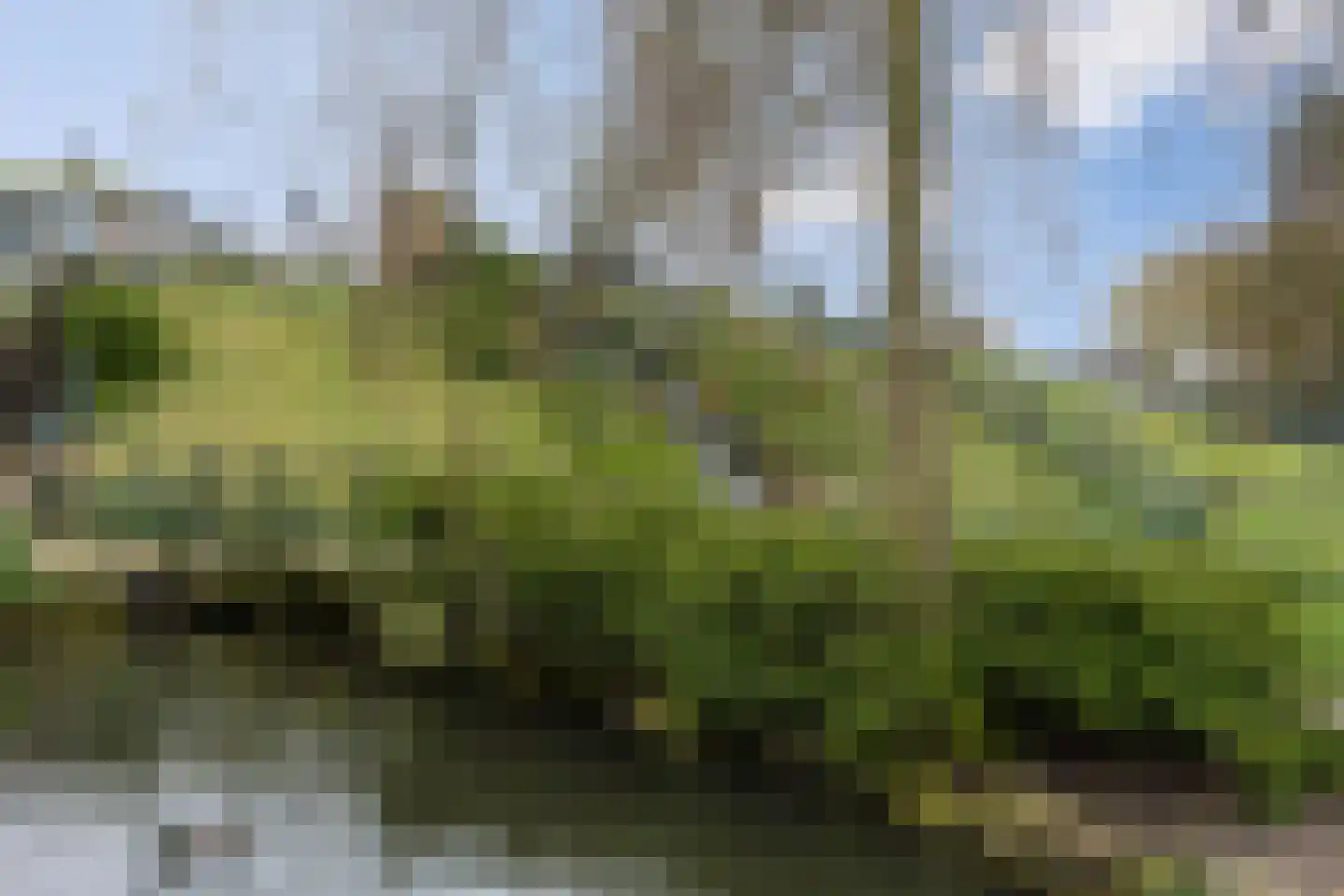 Koningin Wilhelminastraat 25 Hedel thumbnail 61