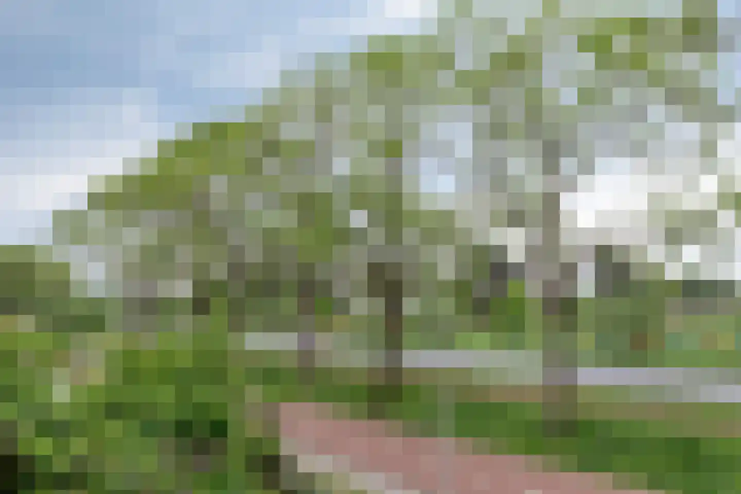 Koningin Wilhelminastraat 25 Kloetinge thumbnail 34