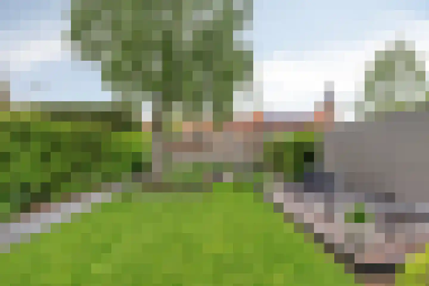 Koningin Wilhelminastraat 25 Kloetinge thumbnail 38