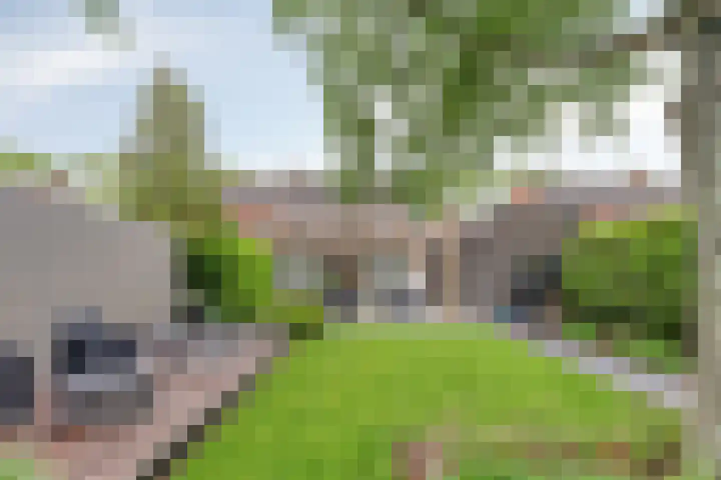 Koningin Wilhelminastraat 25 Kloetinge thumbnail 40