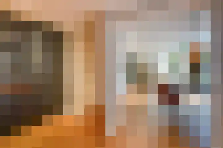Koningin Wilhelminastraat 3 De Lier thumbnail 14