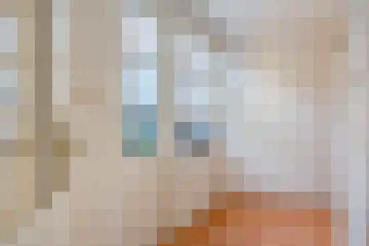 Koningin Wilhelminastraat 3 De Lier thumbnail 20