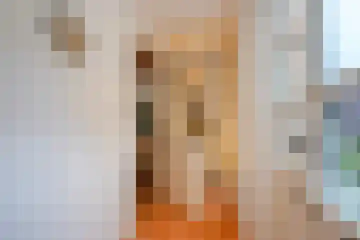 Koningin Wilhelminastraat 3 De Lier thumbnail 29