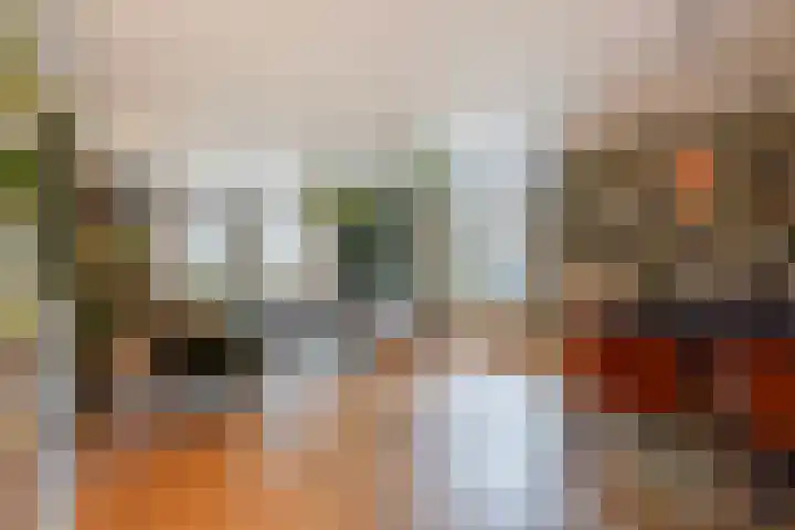 Koningin Wilhelminastraat 3 De Lier thumbnail 4