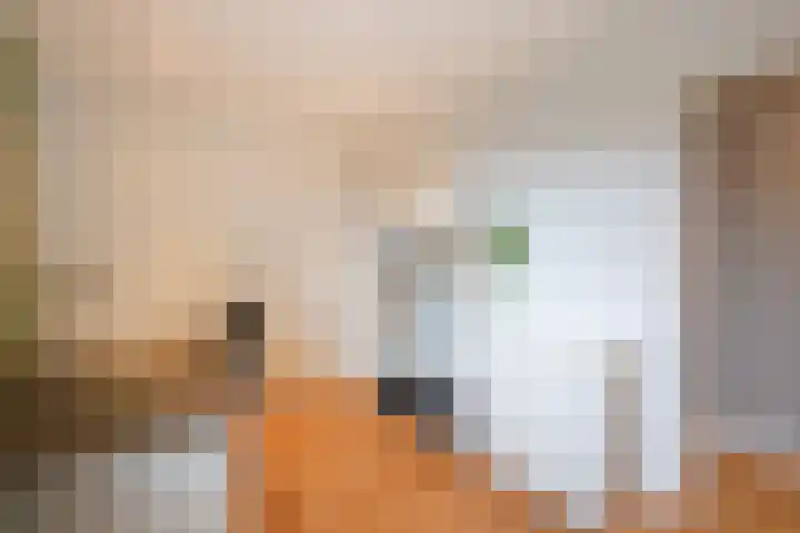 Koningin Wilhelminastraat 3 De Lier thumbnail 40