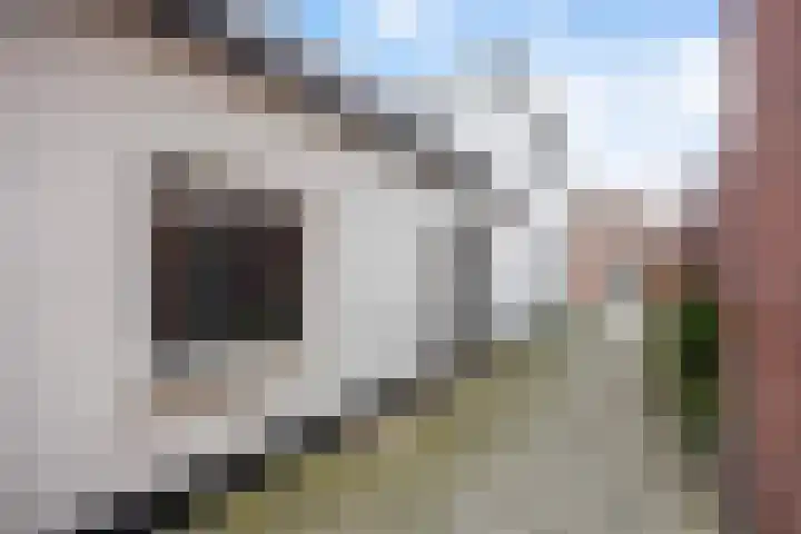 Koningin Wilhelminastraat 3 De Lier thumbnail 48