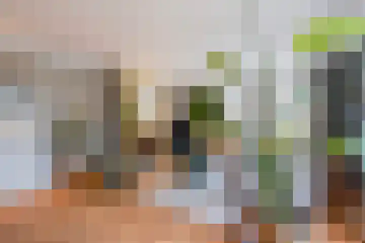 Koningin Wilhelminastraat 3 De Lier thumbnail 6