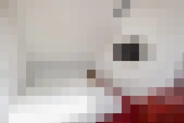 Koningin Wilhelminastraat 3 Nootdorp thumbnail 38