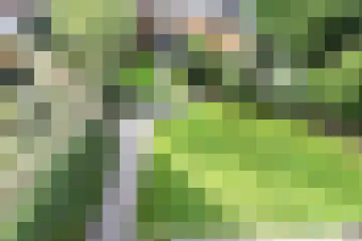 Koningin Wilhelminastraat 3 Nootdorp thumbnail 4