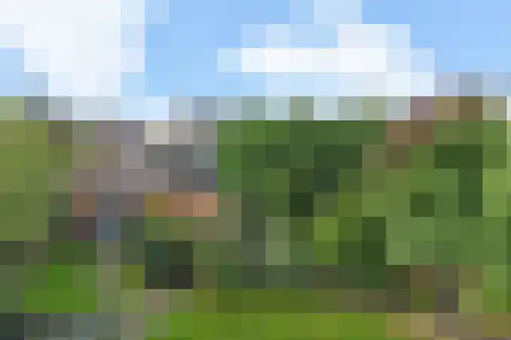Koningin Wilhelminastraat 3 Nootdorp thumbnail 42