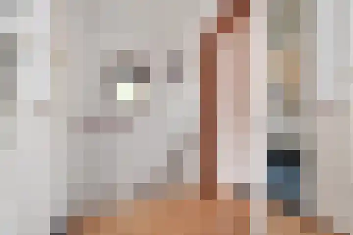 Koningin Wilhelminastraat 3 Nootdorp thumbnail 43
