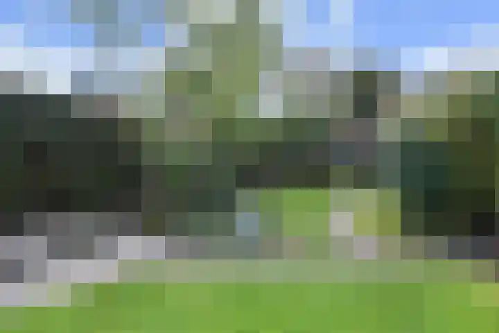 Koningin Wilhelminastraat 3 Nootdorp thumbnail 46