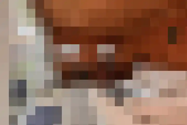 Koningin Wilhelminastraat 3 Nootdorp thumbnail 50