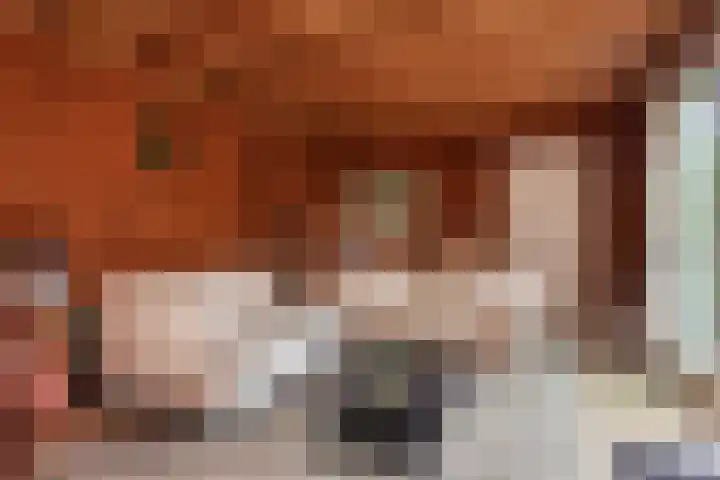 Koningin Wilhelminastraat 3 Nootdorp thumbnail 51