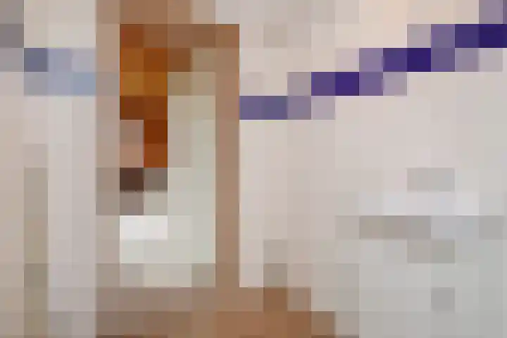 Koningin Wilhelminastraat 3 Nootdorp thumbnail 53