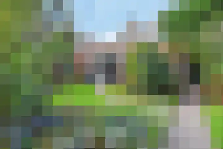 Koningin Wilhelminastraat 3 Nootdorp thumbnail 54