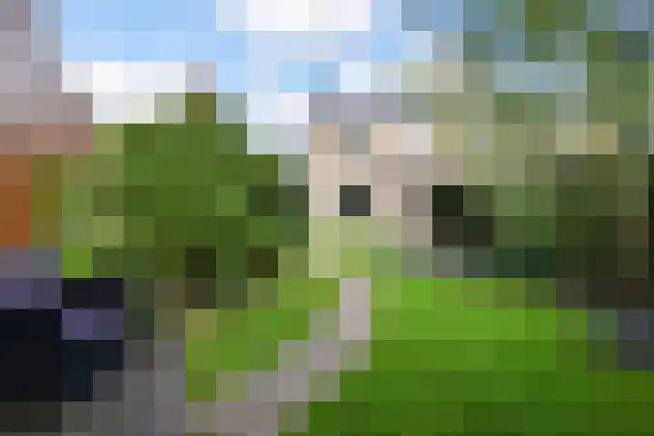 Koningin Wilhelminastraat 3 Nootdorp thumbnail 56