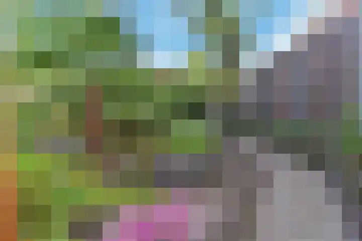 Koningin Wilhelminastraat 3 Nootdorp thumbnail 58