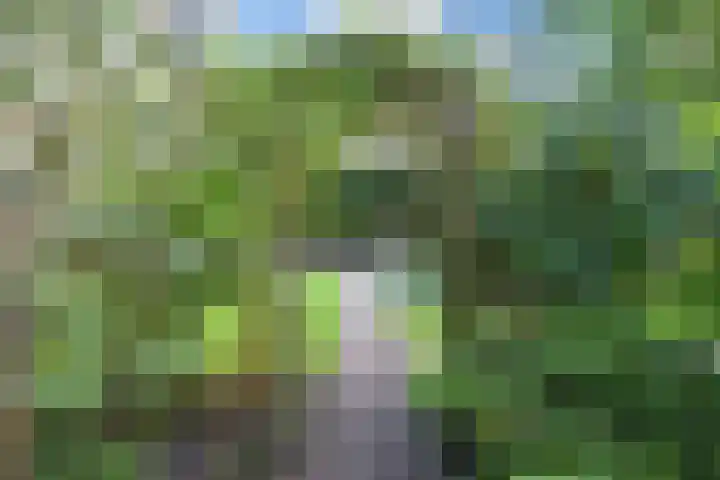 Koningin Wilhelminastraat 3 Nootdorp thumbnail 60