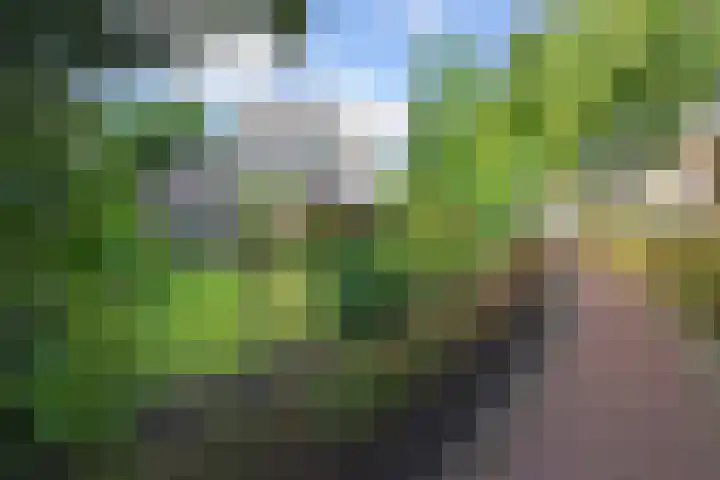 Koningin Wilhelminastraat 3 Nootdorp thumbnail 66