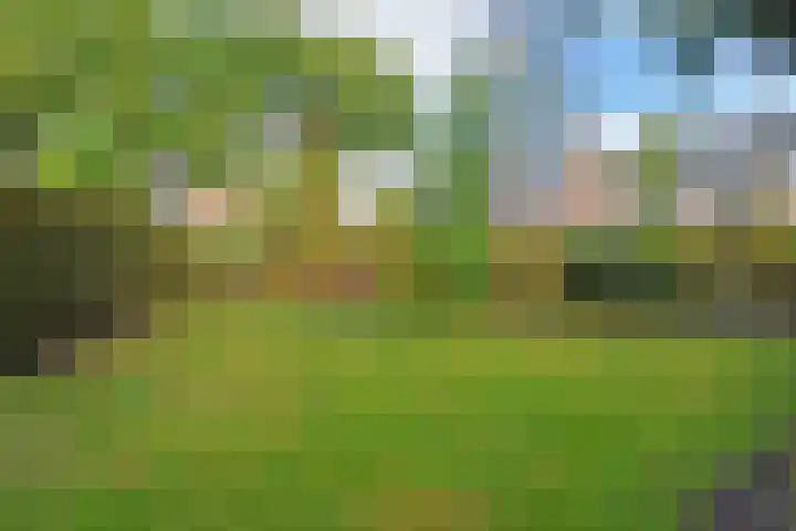 Koningin Wilhelminastraat 3 Nootdorp thumbnail 67
