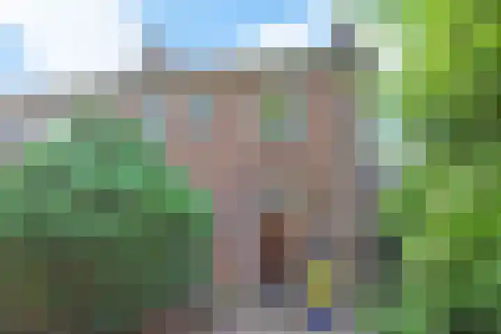 Koningin Wilhelminastraat 3 Nootdorp thumbnail 7