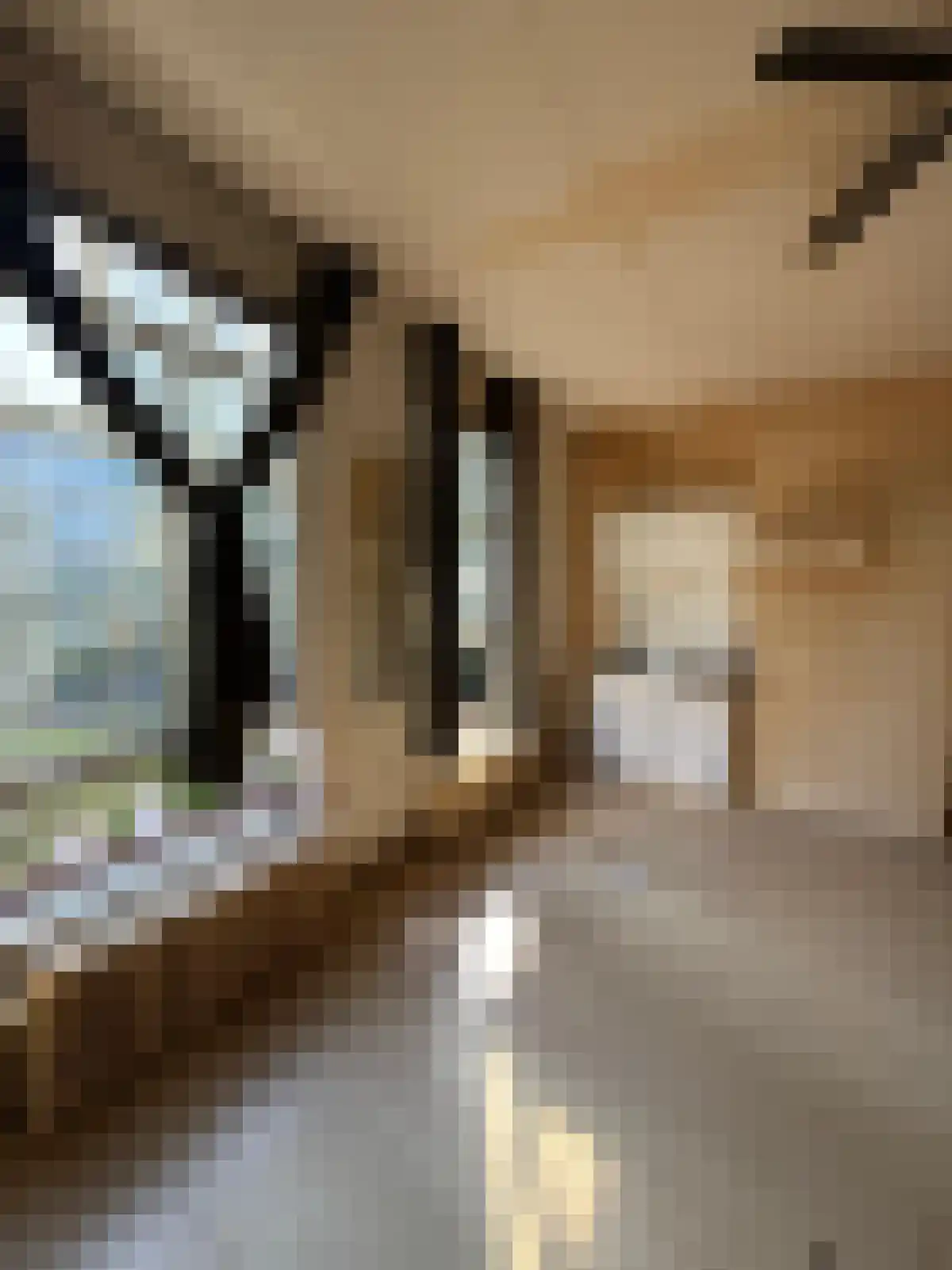 Koningin Wilhelminastraat 3 Zwolle thumbnail 5