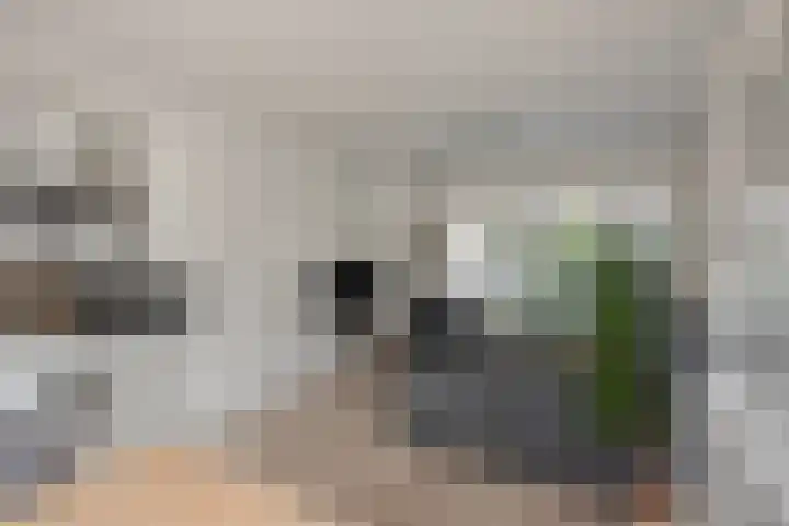 Koningin Wilhelminastraat 30 Benthuizen thumbnail 17