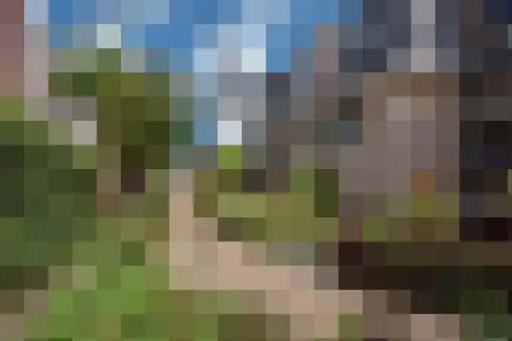 Koningin Wilhelminastraat 30 Benthuizen thumbnail 32