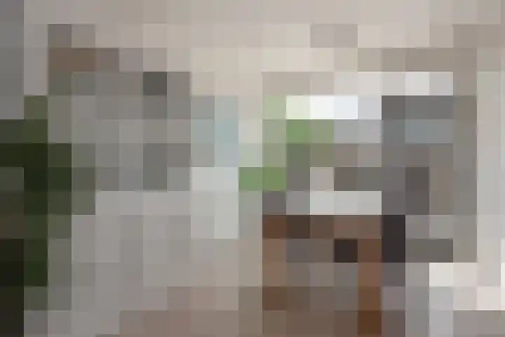 Koningin Wilhelminastraat 30 Benthuizen thumbnail 8