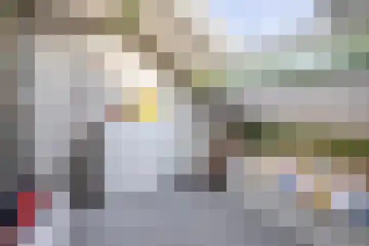 Koningin Wilhelminastraat 33 Piershil thumbnail 30
