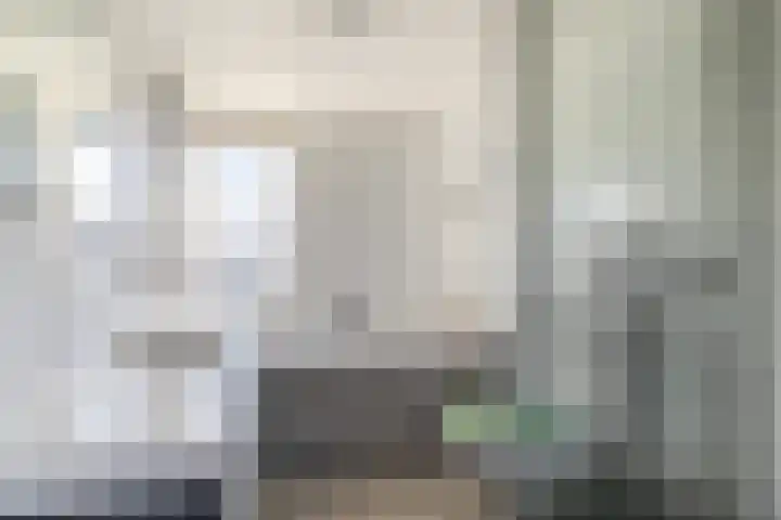 Koningin Wilhelminastraat 33 Piershil thumbnail 5