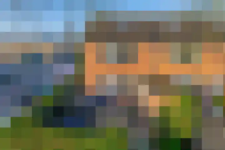 Koningin Wilhelminastraat 33 Piershil thumbnail 9