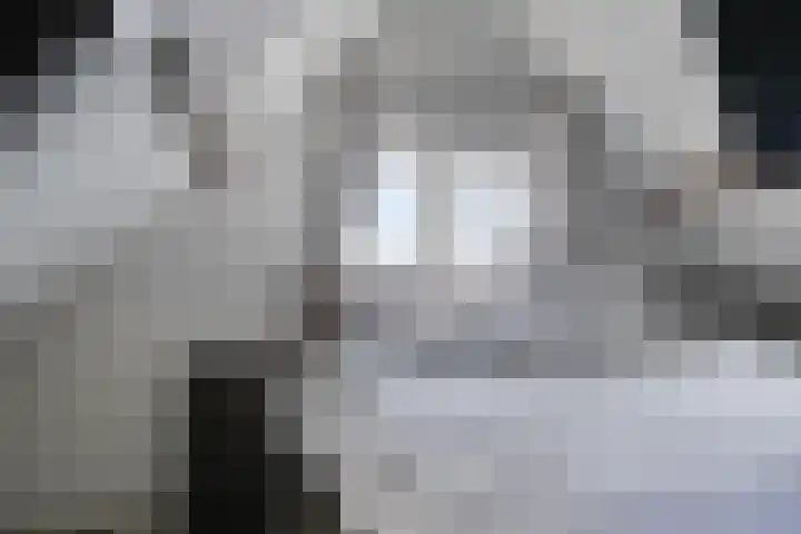 Koningin Wilhelminastraat 35 Hedel thumbnail 26