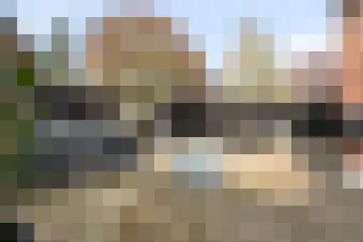 Koningin Wilhelminastraat 35 Hedel thumbnail 35