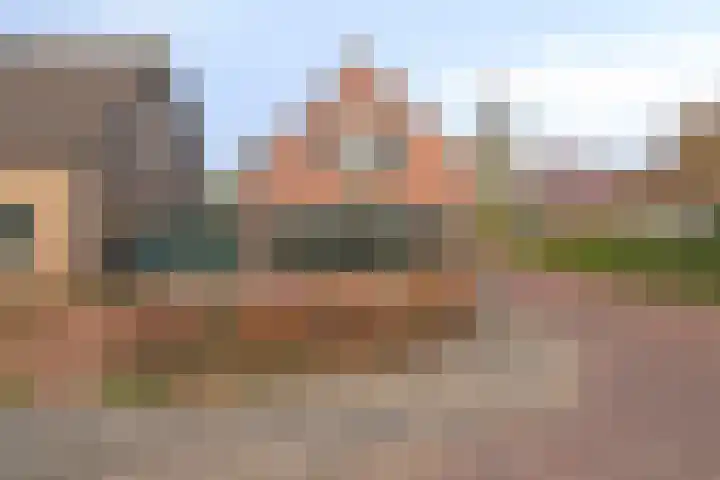 Koningin Wilhelminastraat 35 Hedel thumbnail 5