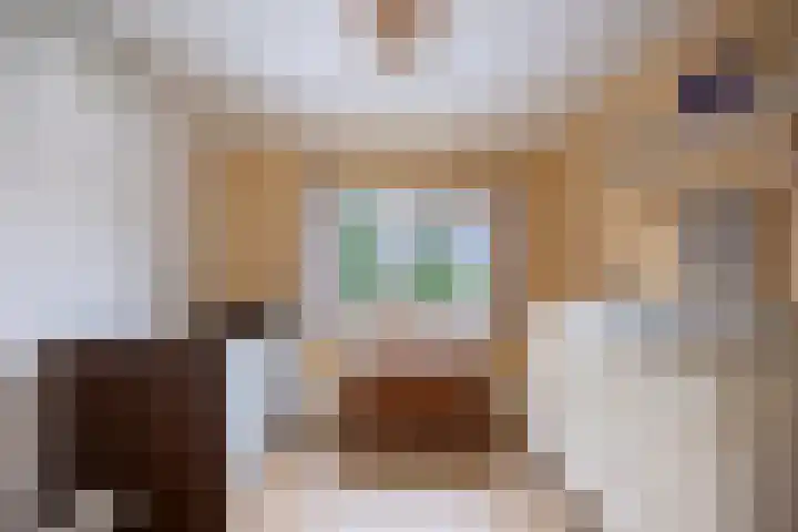 Koningin Wilhelminastraat 36 Overasselt thumbnail 31