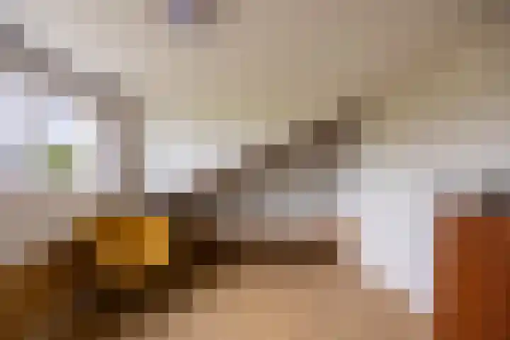 Koningin Wilhelminastraat 36 Overasselt thumbnail 33