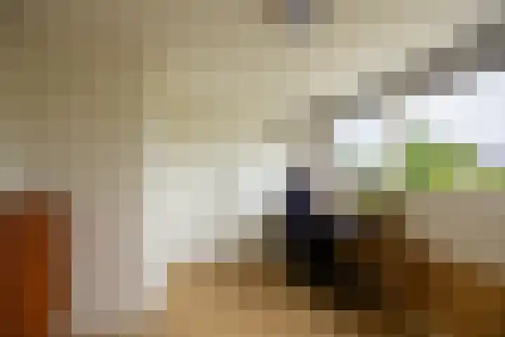 Koningin Wilhelminastraat 36 Overasselt thumbnail 34