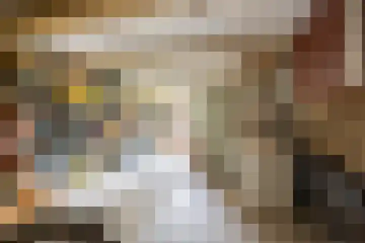 Koningin Wilhelminastraat 36 Overasselt thumbnail 39