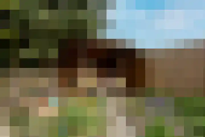 Koningin Wilhelminastraat 36 Overasselt thumbnail 42