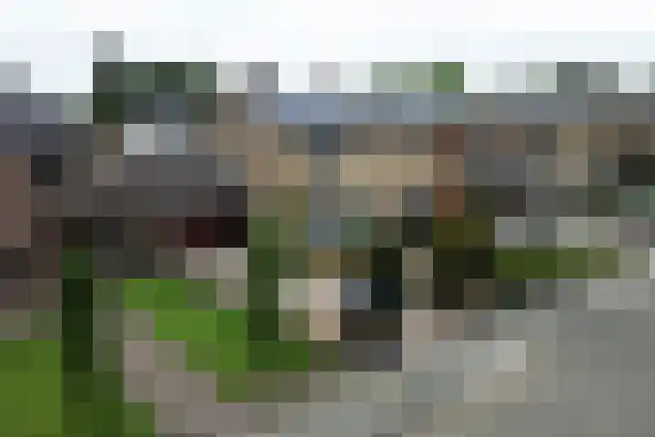 Koningin Wilhelminastraat 36 Overasselt thumbnail 51