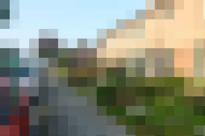 Koningin Wilhelminastraat 37 Schoonrewoerd thumbnail 12