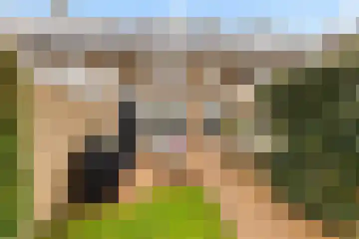 Koningin Wilhelminastraat 39 Zwolle thumbnail 23
