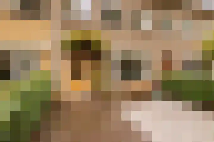 Koningin Wilhelminastraat 39 Zwolle thumbnail 4