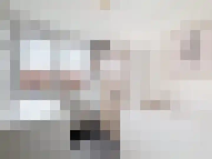 Koningin Wilhelminastraat 4 Schoondijke thumbnail 13