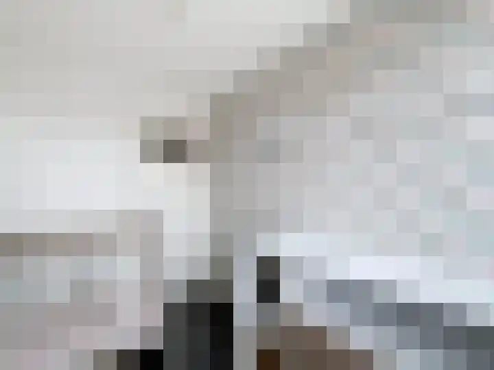 Koningin Wilhelminastraat 4 Schoondijke thumbnail 14